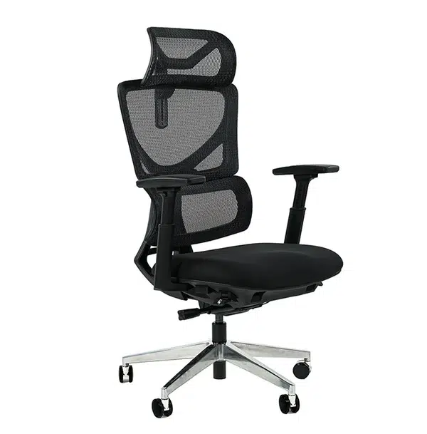 Ергономичен офис стол ErgoPro Lite