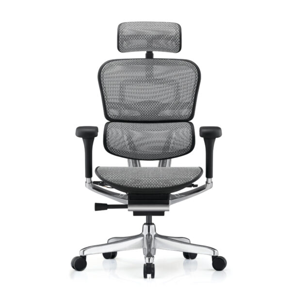 Ергономичен офис стол Ergohuman new - сив