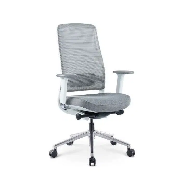 Ергономичен офис стол Zeal – сив