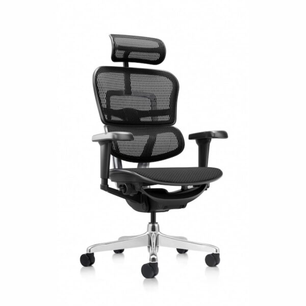 Ергономичен стол ERGOHUMAN ULTRA