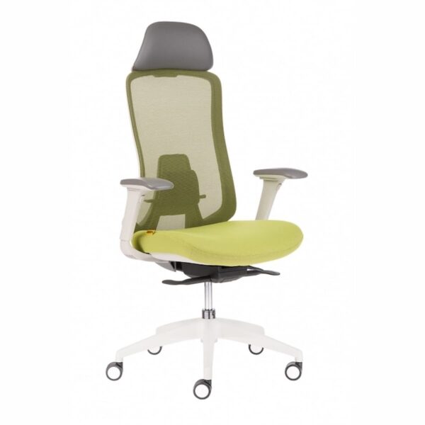 Ергономичен стол DARIO - зелен