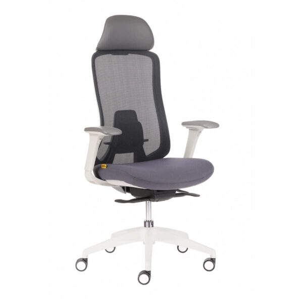 Ергономичен офис стол DARIO с мрежеста облегалка, регулируема лумбална опора, регулируема седалка и 4D подлакътници.