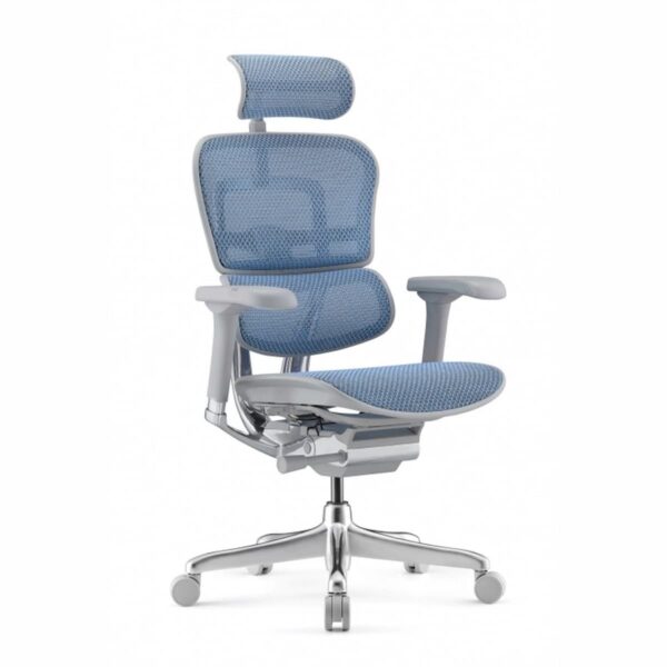 Ергономичен стол ERGOHUMAN ELITE 2 GREY