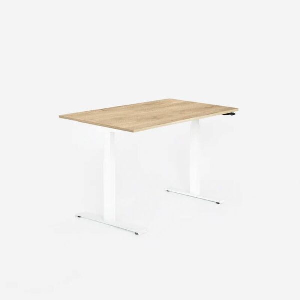 Ergo Desk Ultra