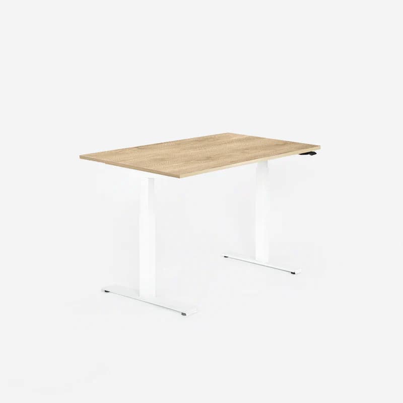 Ergo Desk Ultra
