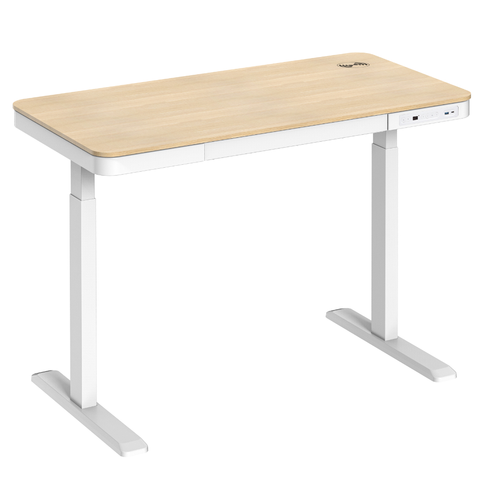 standupdesk12